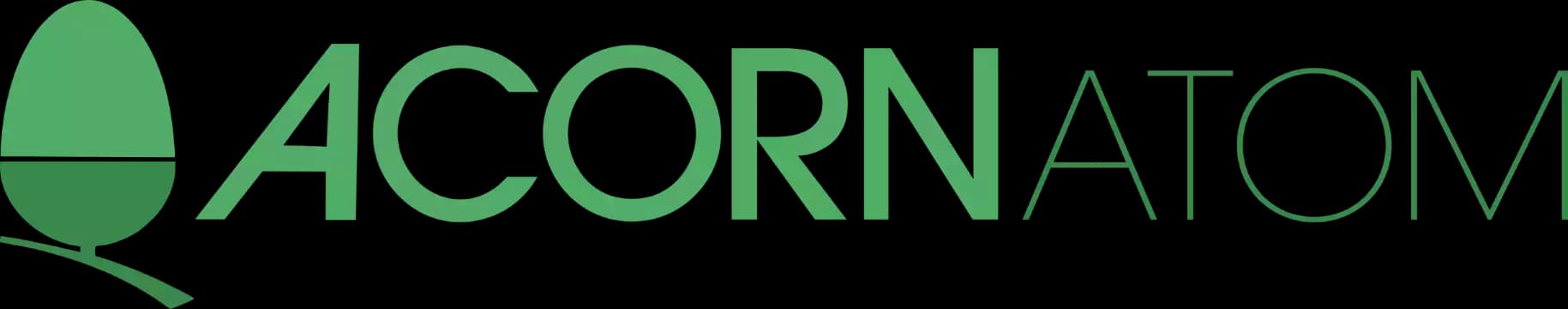 Acorn Atom